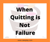 When Quitting is Not Failure